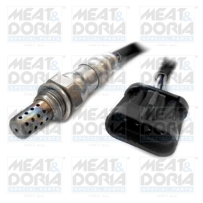 Oxygen Sensor